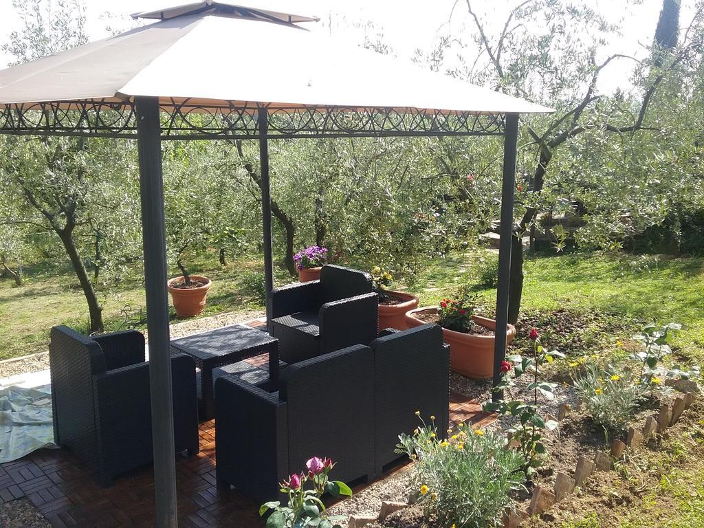 L'oliveta Siena