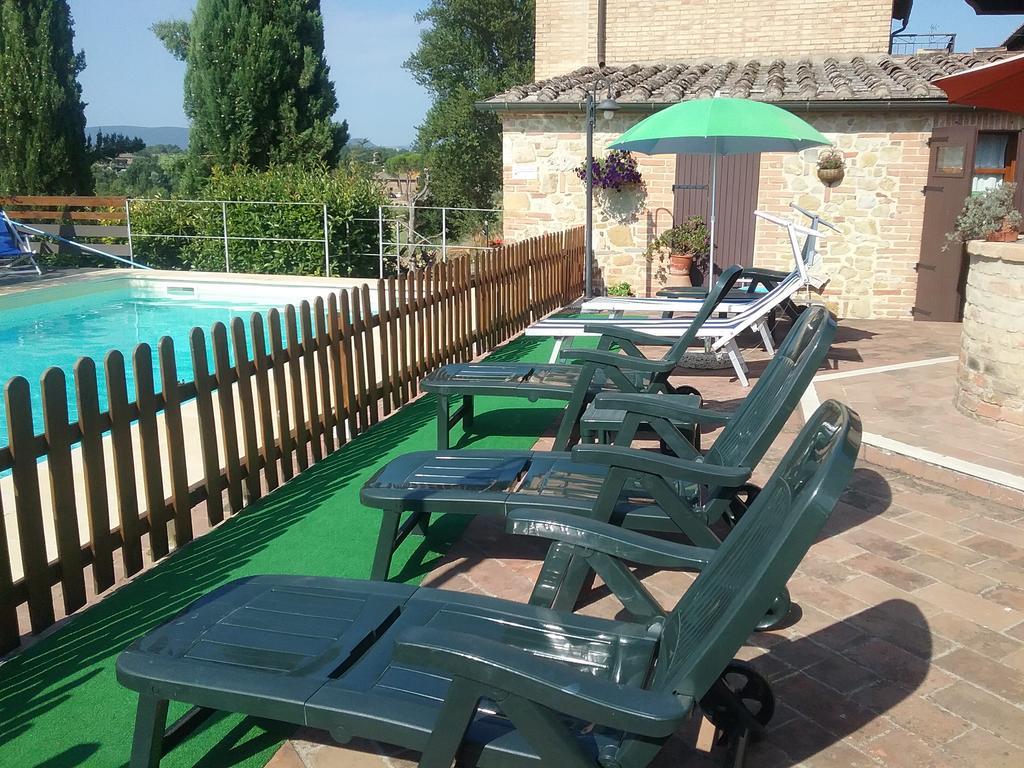 L'oliveta Casa vacanze *
