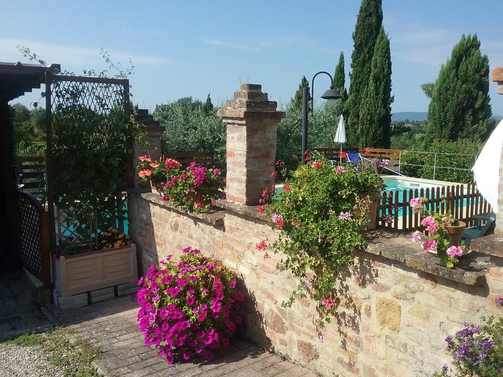 L'oliveta *