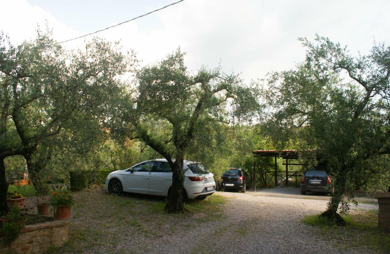 L'oliveta Ferienhaus *