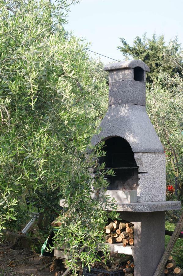 L'oliveta * Siena
