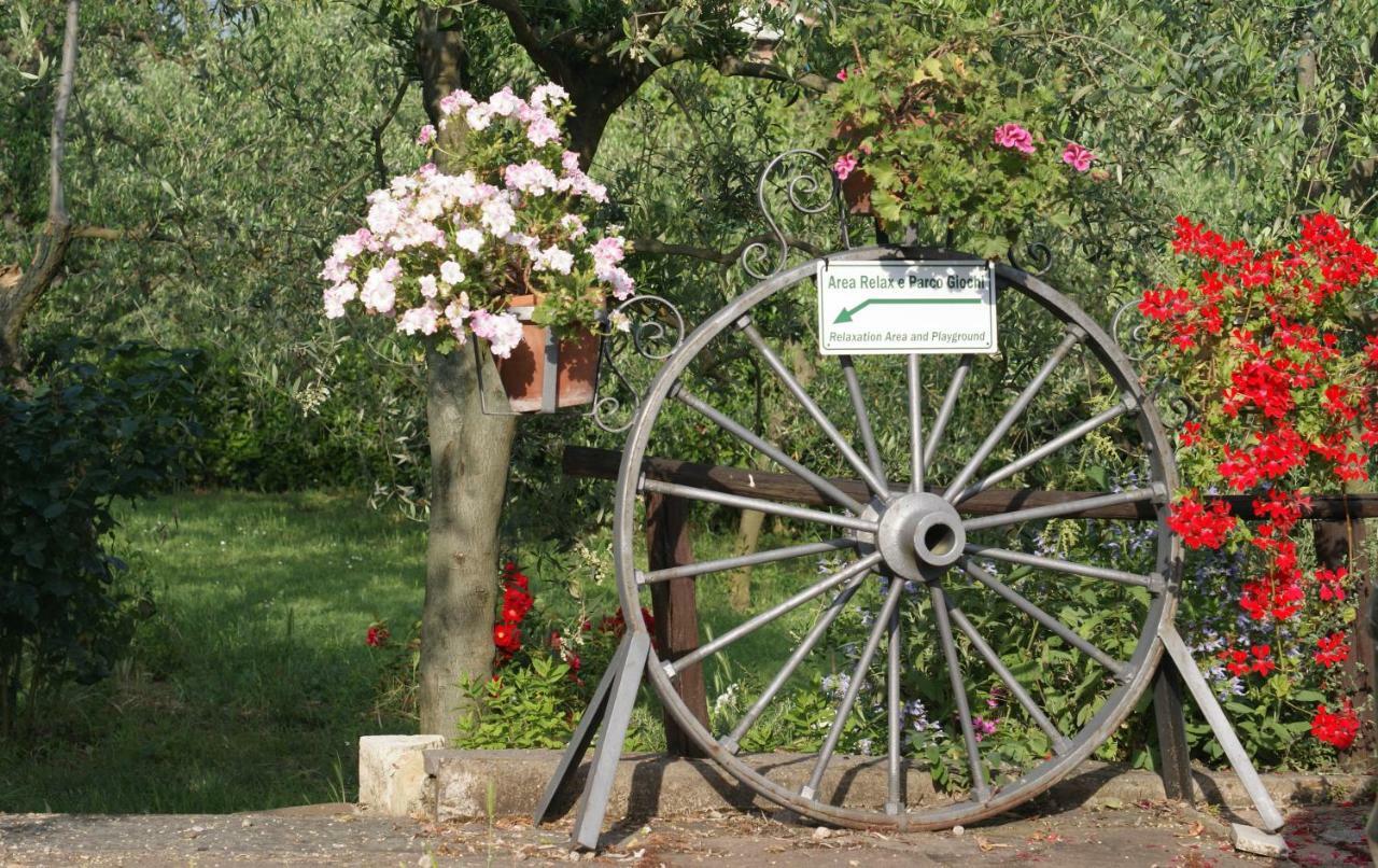 L'oliveta * Siena